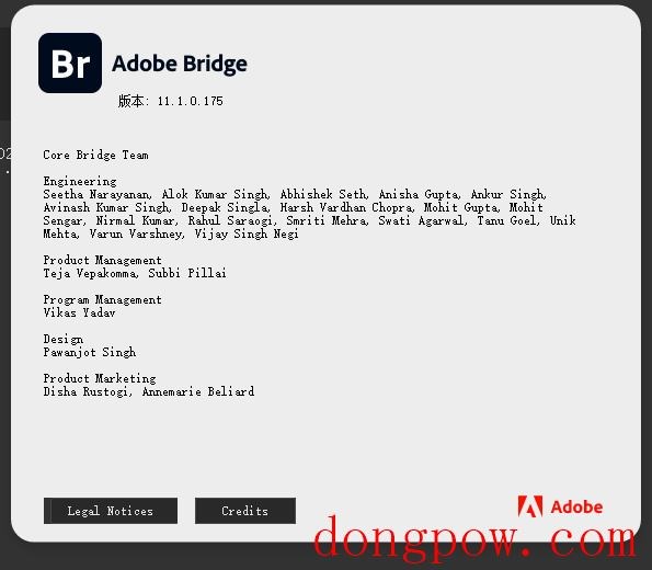 Adobe Bridge 2021