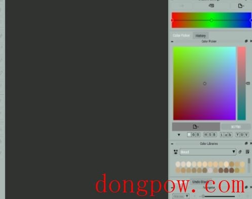 CODIJY Colorizer Pro