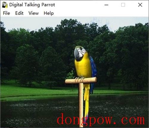 AV Digital Talking Parrot