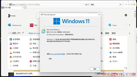 Win11 Intelnet Explorer 11