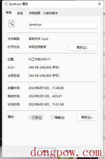 ipnat.sys文件 Win11版