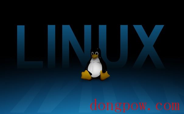 Linux Kernel