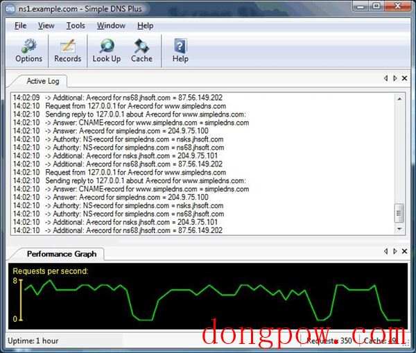 Simple DNS Plus