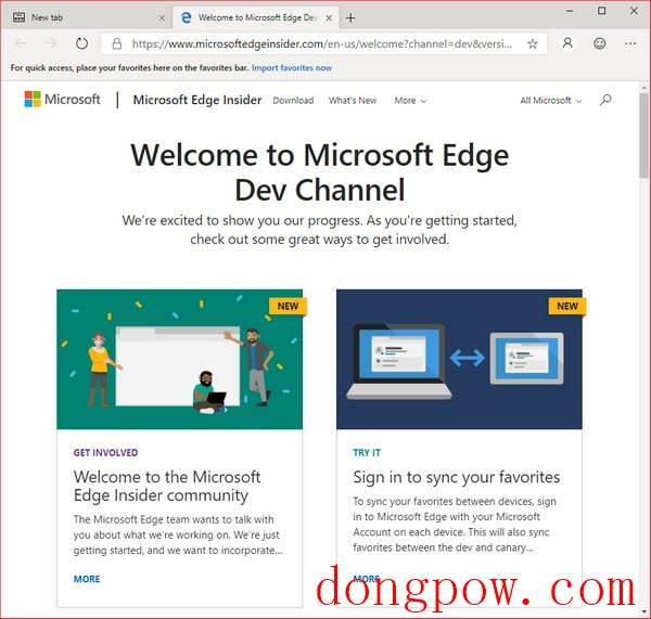 Microsoft Edge Dev