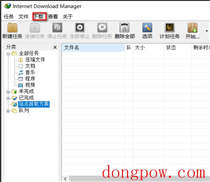 Internet Download Manager