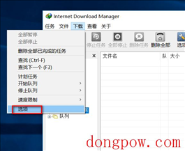 Internet Download Manager