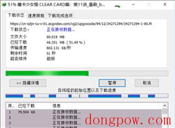 Internet Download Manager