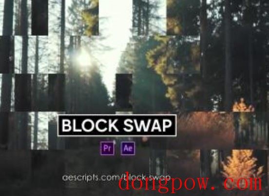 Block Swap