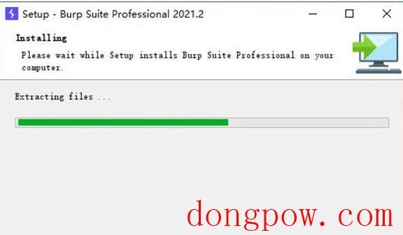 Burp Suite Pro