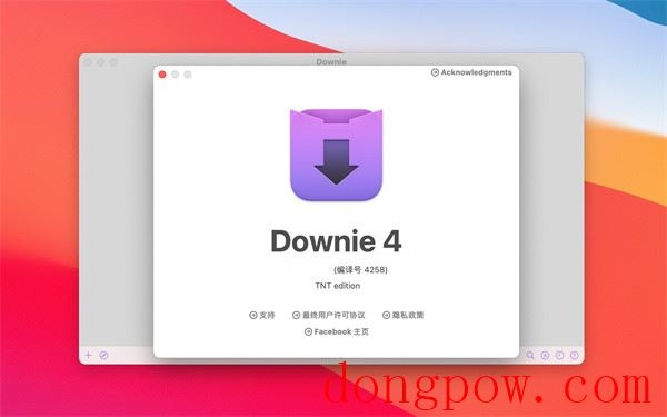 Downie下载器