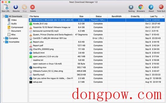 Neat Download Manager