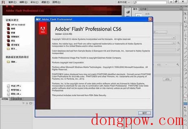 Adobe Flash Professional CS6