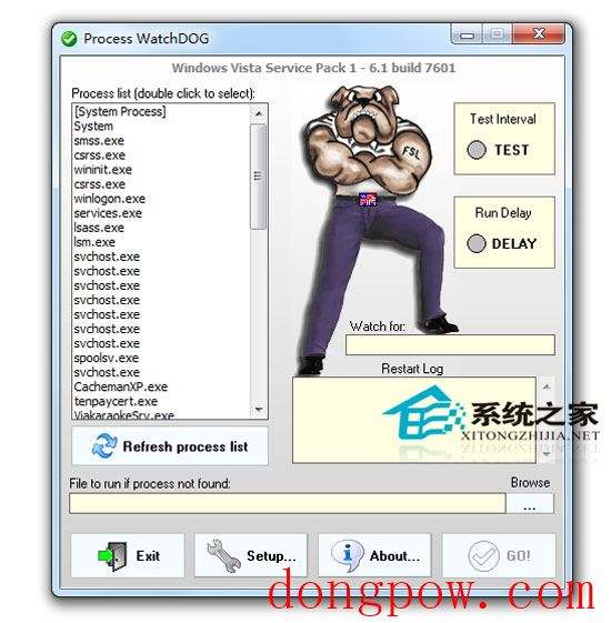 WatchDOG(进程监视) V1.0.3.0 汉化绿色版