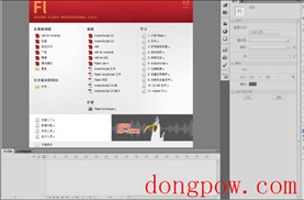 Adobe Flash CS5