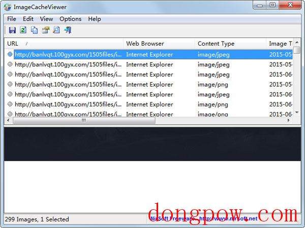 ImageCacheViewer(查看web浏览器缓存) V1.20 英文绿色版