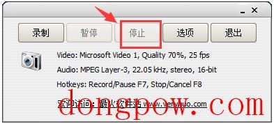 freez屏幕视频捕捉(Freez Screen Video Capture) V1.21 绿色中文版