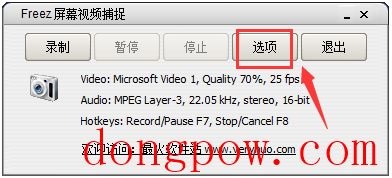 freez屏幕视频捕捉(Freez Screen Video Capture) V1.21 绿色中文版