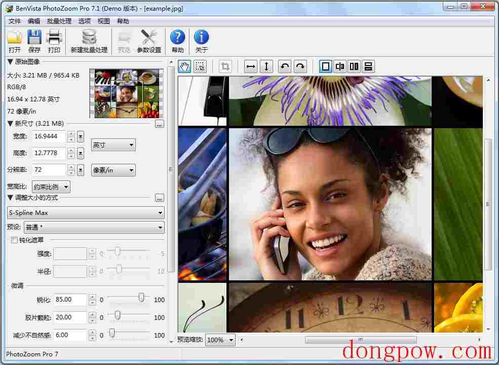 PhotoZoom Pro(图片放大) V7.1.0 简体中文版