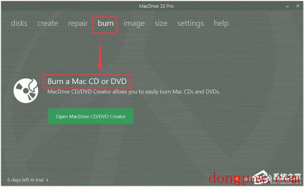 MacDrive Pro(Mac磁盘格式文件读取工具) V10.1.0.65 官方英文版