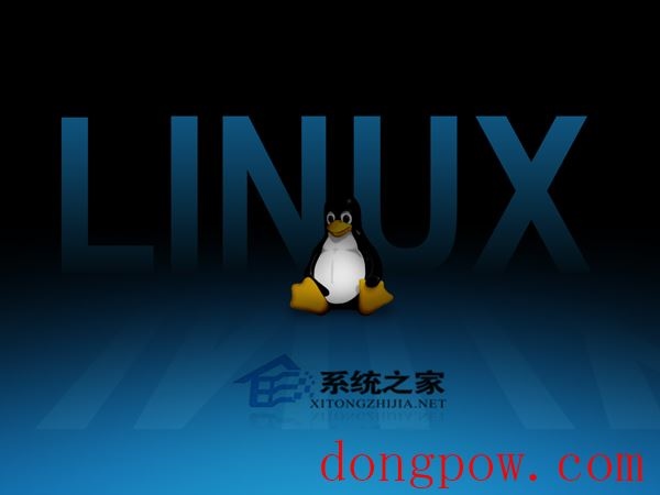  Linux全自动安装操作实例