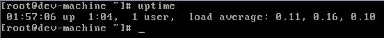  Linux uptime命令操作实例