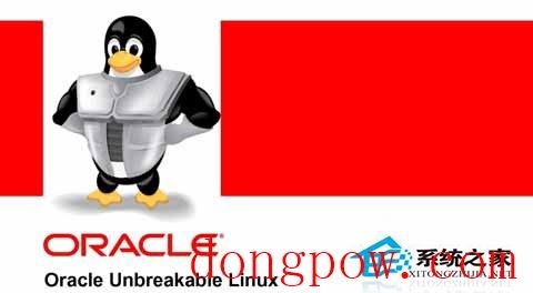  Oracle Linux 6.4不小心删除VG的解决方法