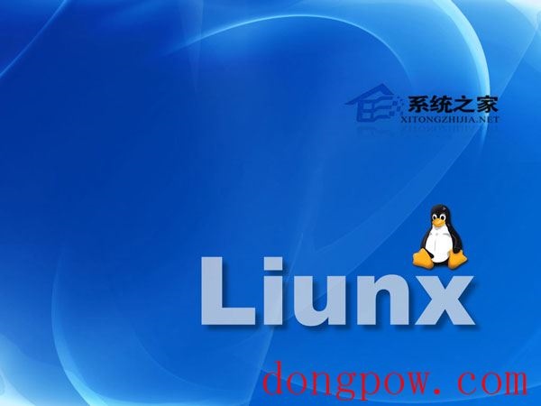  Linux Zsh命令使用实例