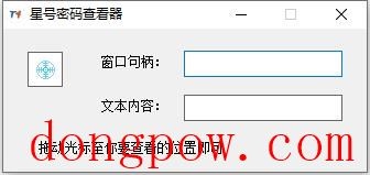 T4星号密码查看器