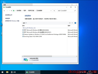 Windows10 22H2 最新官方正式版 V19045.2846