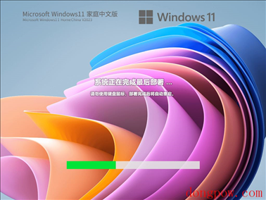 【家庭/个人】Windows11 22621.1555 X64 家庭中文版