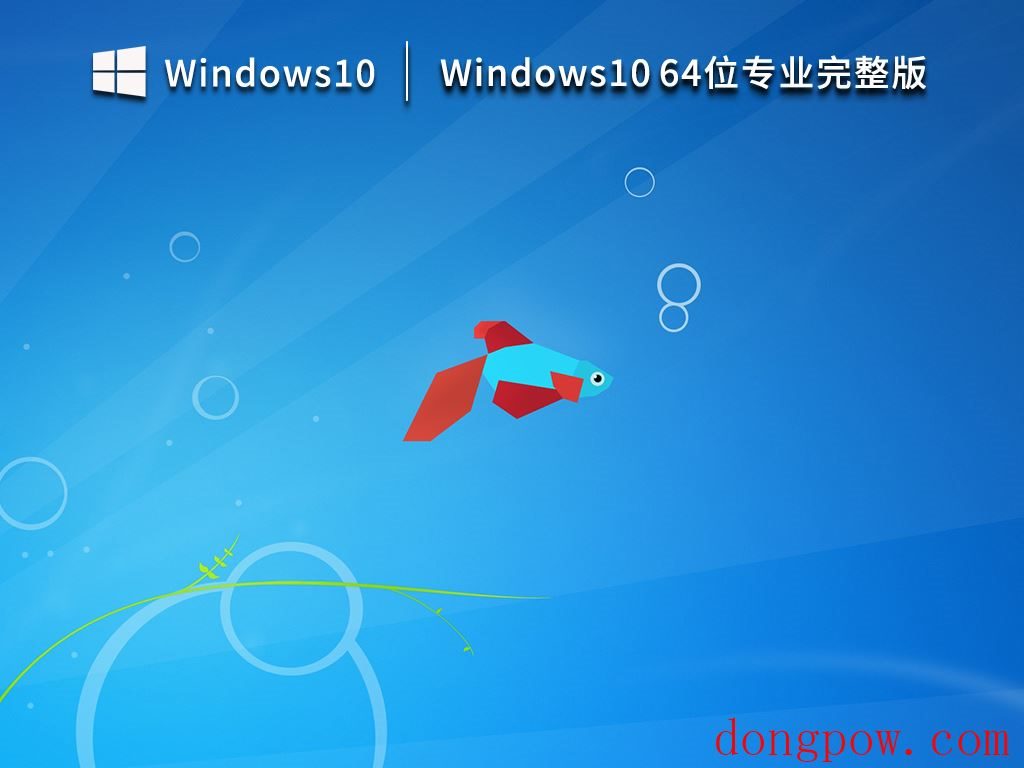 Windows10 64位专业完整版 V2023