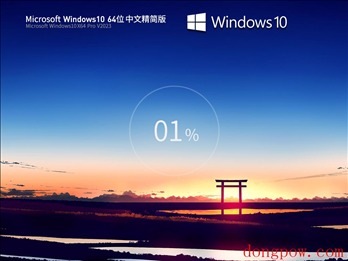 Windows10 22H2 19045.2846 X64 中文精简版