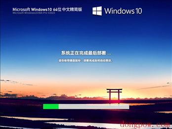 Windows10 22H2 19045.2846 X64 中文精简版