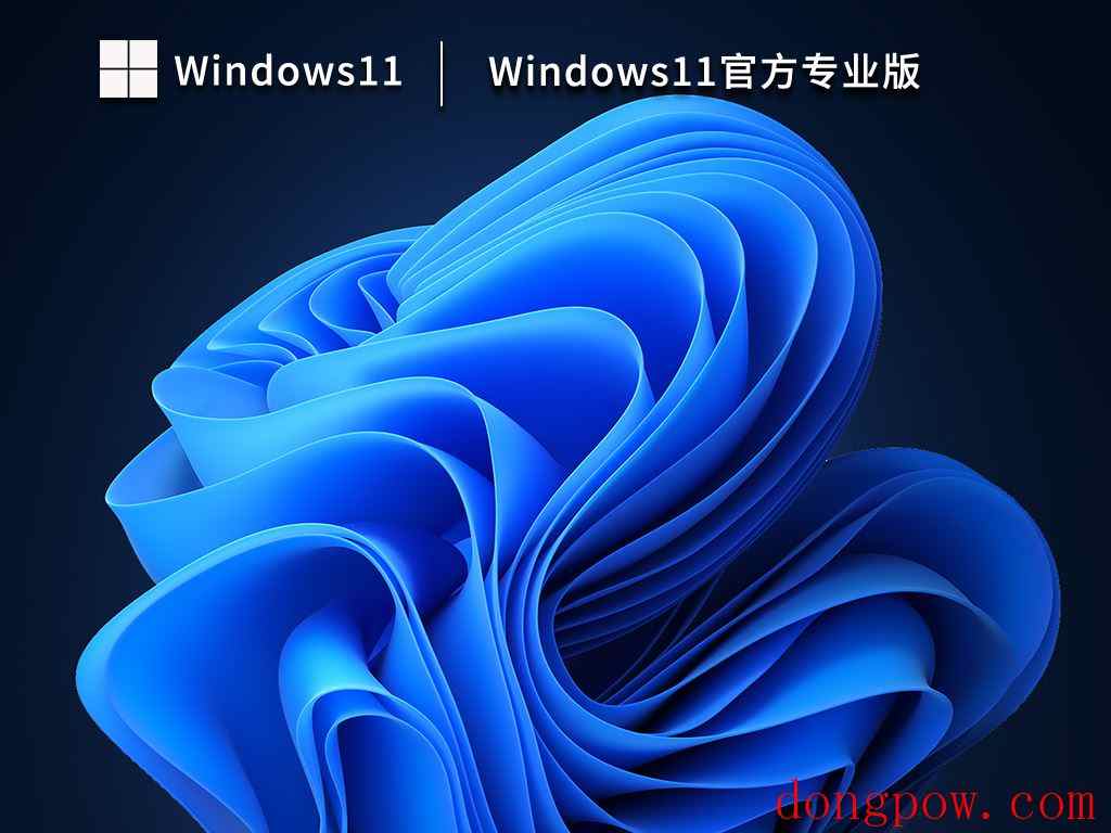 Windows11官方专业版 V2023