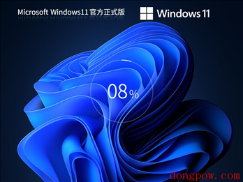 Windows 11 64位正式专业版 V2023