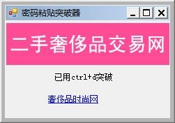  密码粘贴突破器 V1.0 绿色版