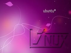 Linux如何使用grep命令搜索文本文件