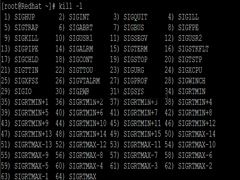 Linux如何使用kill命令强制终止进程