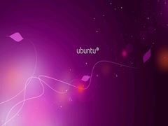 Ubuntu使用QT无法输入中文怎么办？