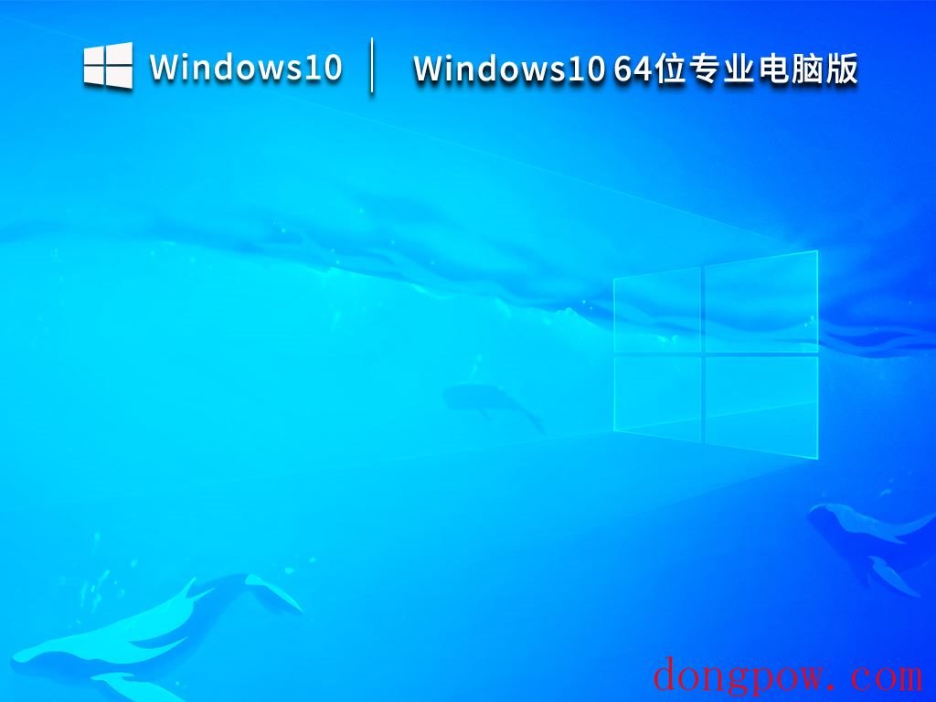 Windows10 64位专业电脑版 安装包 V2023