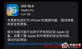 Apple iOS 16.5 RC(20F65)