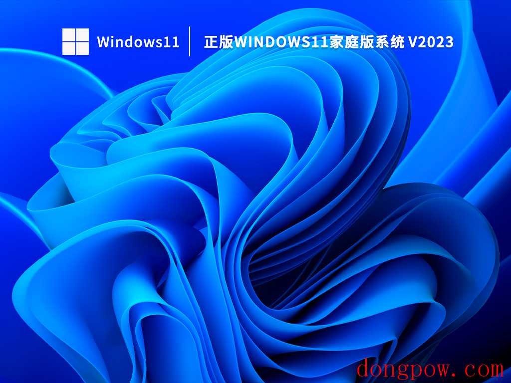 正版Windows11家庭版系统 V2023