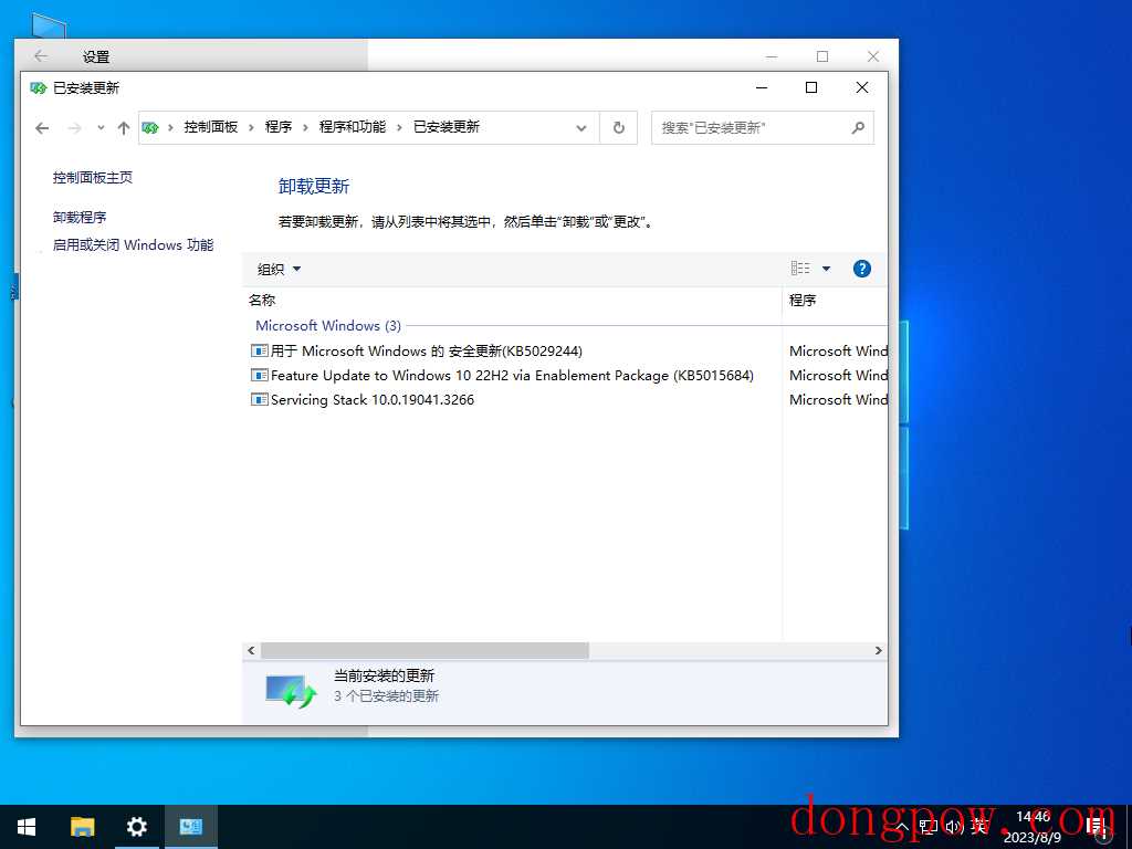 戴尔 Dell Windows10 22H2 64位 专业装机版 V2023.08