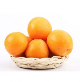 黄桃和杏子的区别