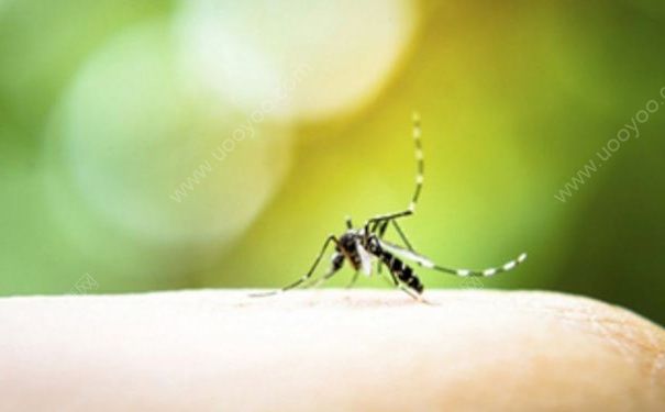 夏天如何预防蚊虫叮咬?被蚊子叮了该怎么快速消肿？(2)