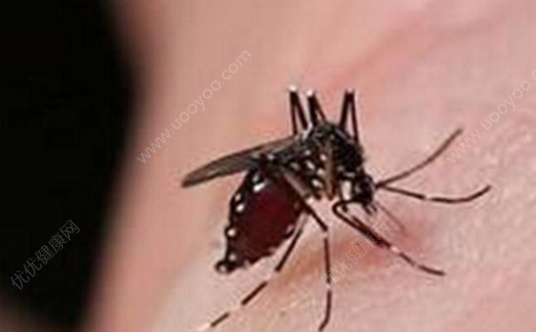 夏天怎么预防蚊子叮咬？夏天预防蚊子叮咬有哪些妙招？(1)