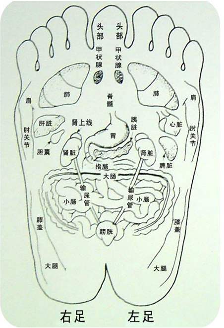 对于按摩穴位，你知道多少？