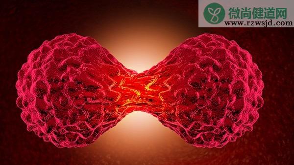 默沙东宣布：K药治疗前列腺癌和非小细胞肺癌研究失败