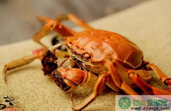 野生螃蟹能吃吗？野生螃蟹怎么做好吃？