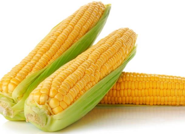 玉米的热量是多少 106卡/100克,增强饱腹感促进肠胃